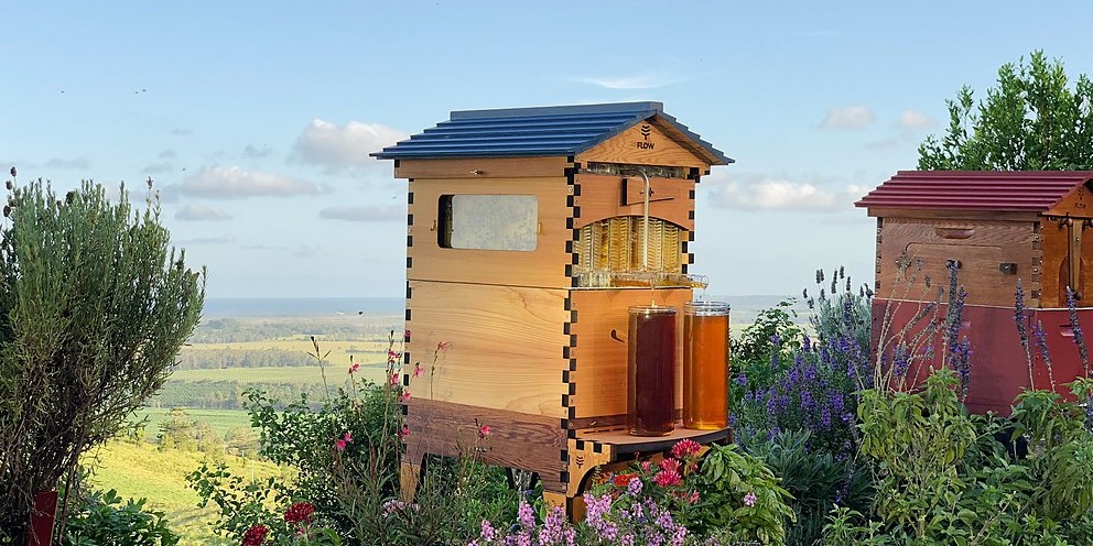 The Flow Hive: What Happened After the $12 Million Crowdfunding Campaign