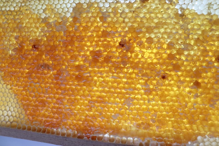 Why Honey Crystallizes: The Science of Solid Honey