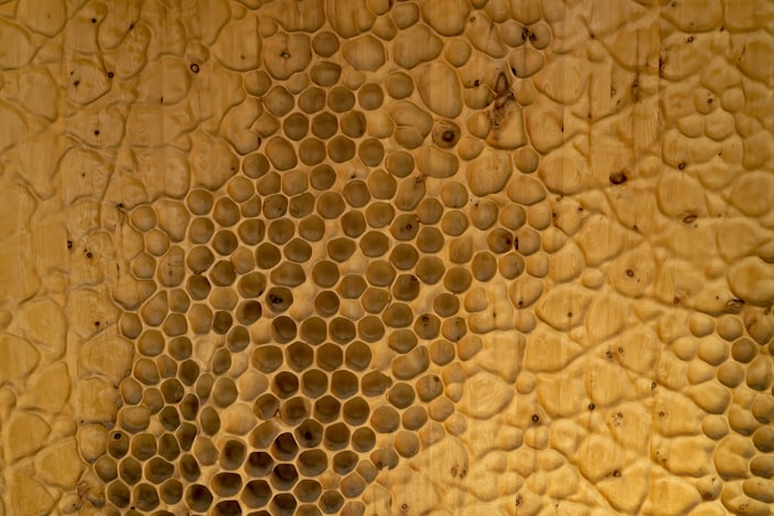 Honeycomb Hexagons: How Bees Build Perfect Cells