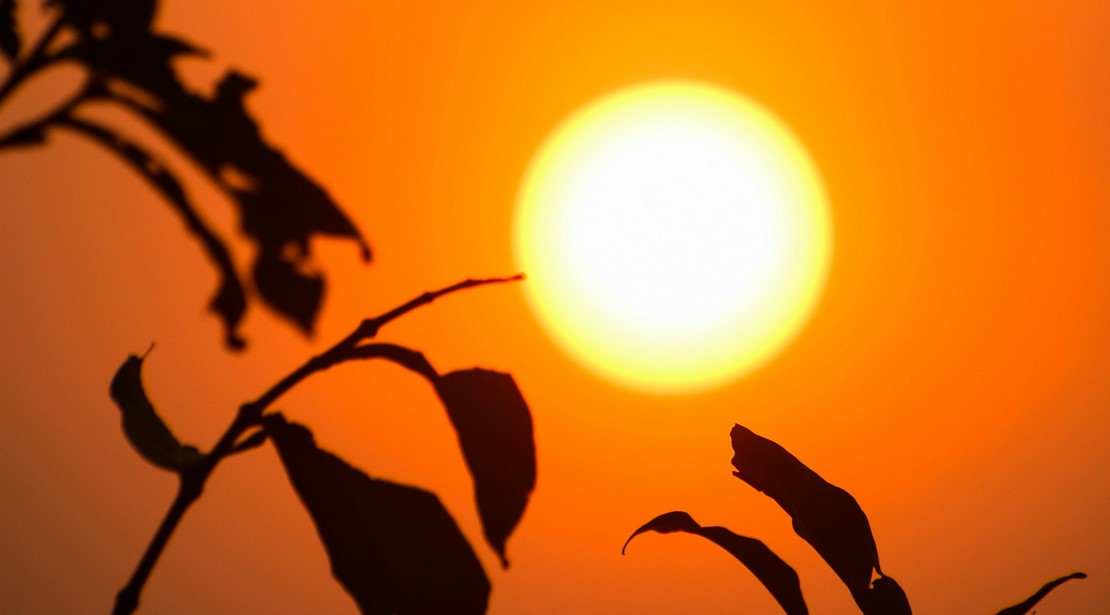 How Climate Change Is Reshaping Regional Beekeeping Calendars